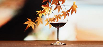 Какое вино пить осенью?